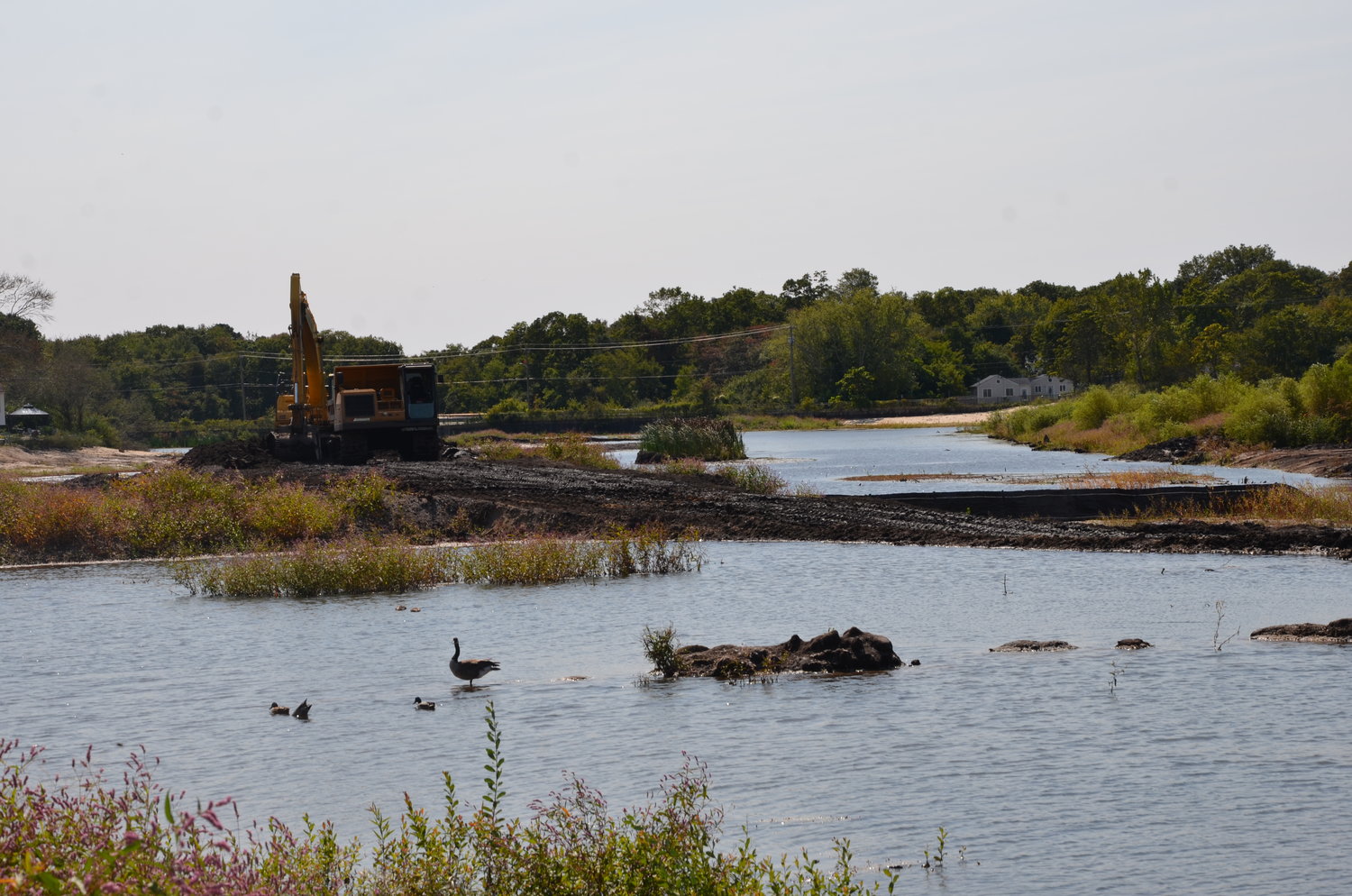 Possible solution for Canaan Lake The Long Island Advance